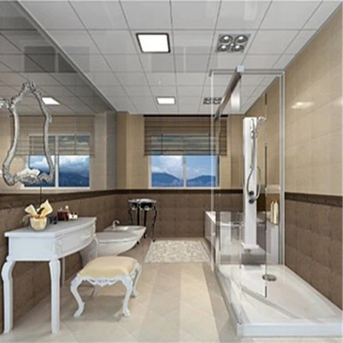 Startseite PVC-Decke